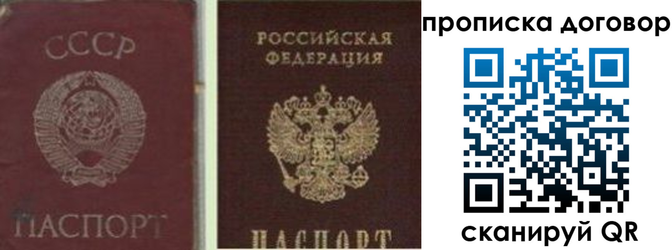 прописка гарантия в Ставрополе